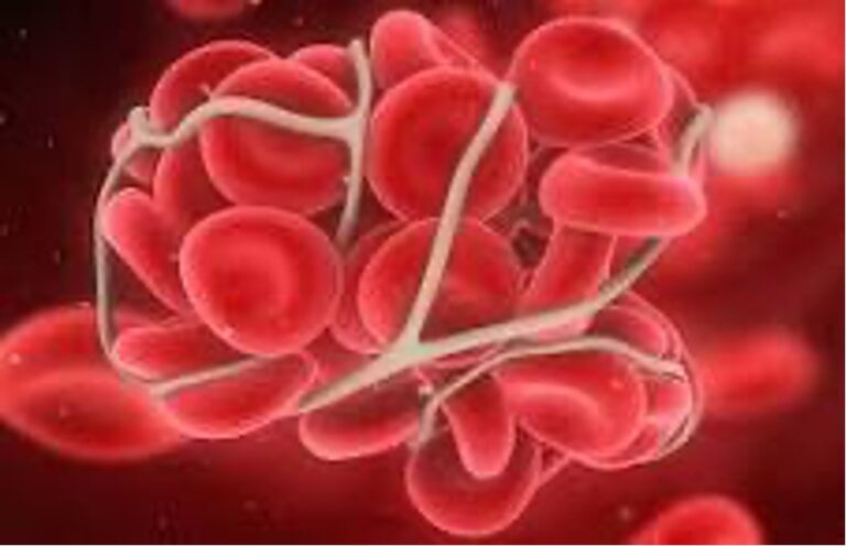 17 апреля 2026 года «Всемирный день гемофилии»